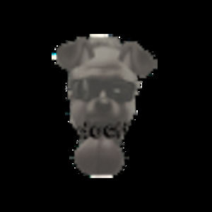 Meet your Posher, Harles